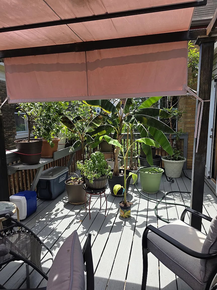 Furnished Finder property 1012506_1 photo 55