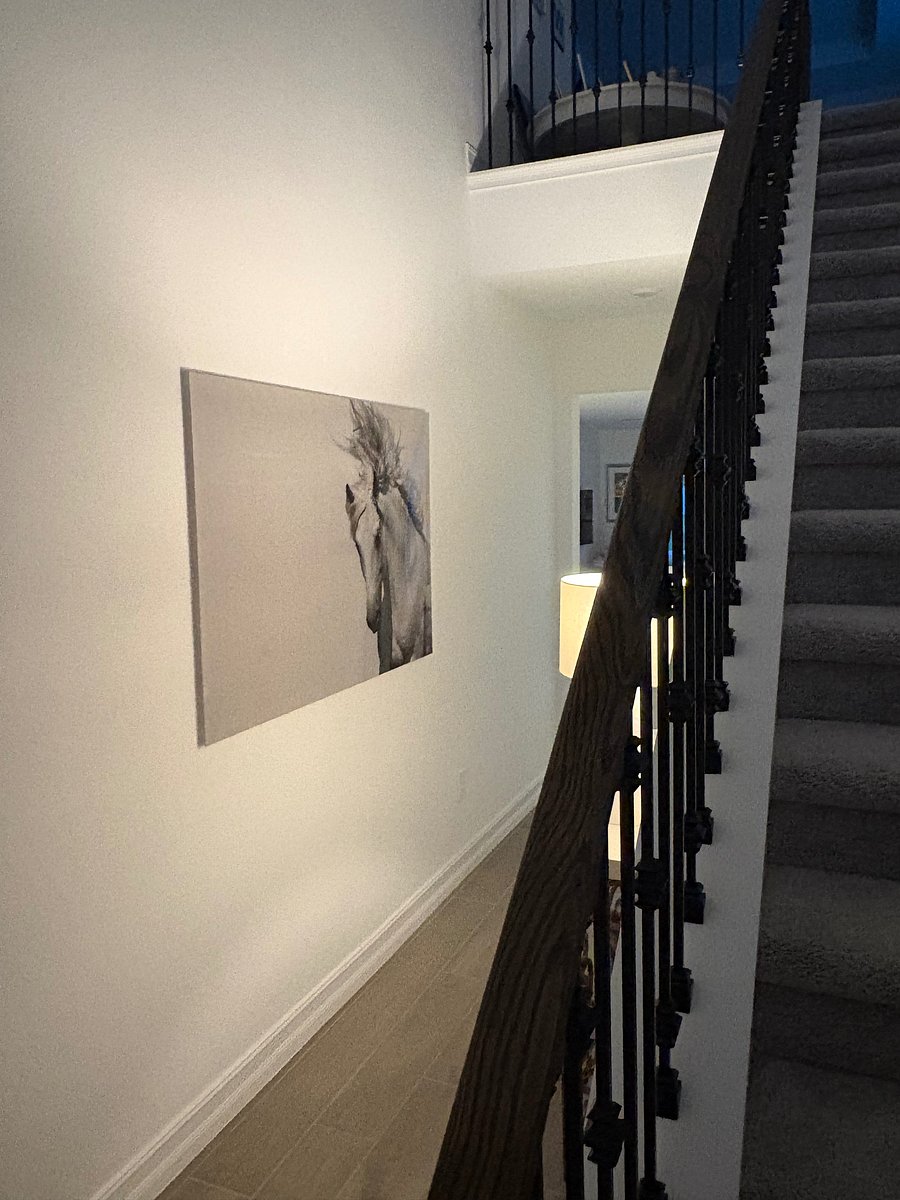 Furnished Finder property 1012508_1 photo 14