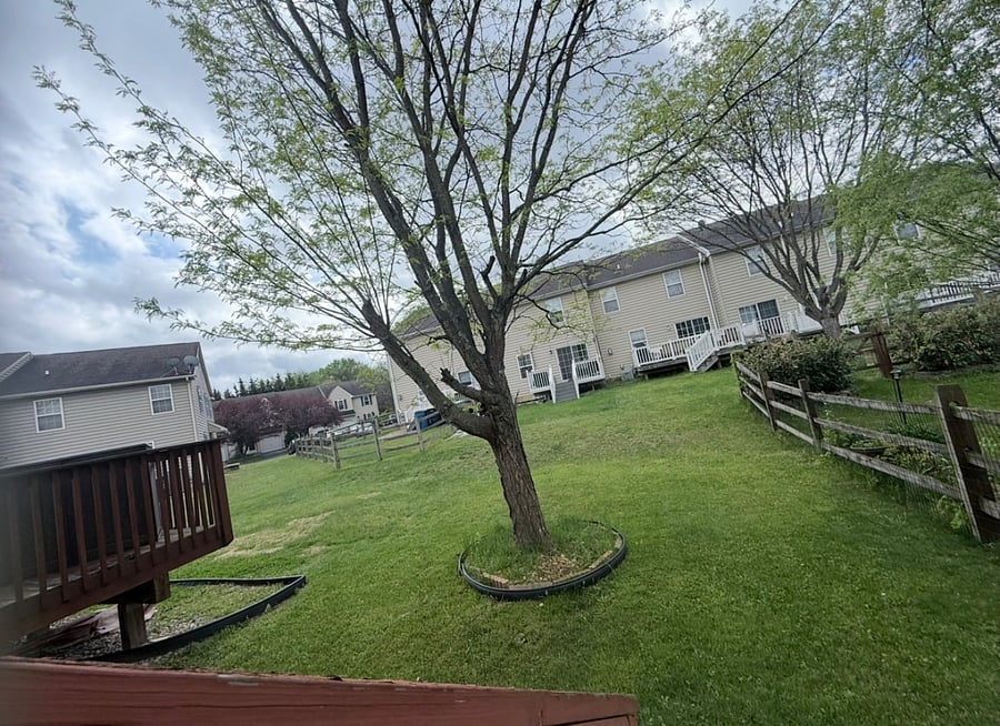 Furnished Finder property 1012515_1 photo 6