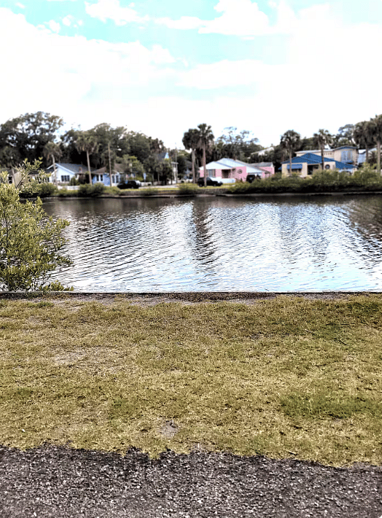 Furnished Finder property 1012604_1 photo 16