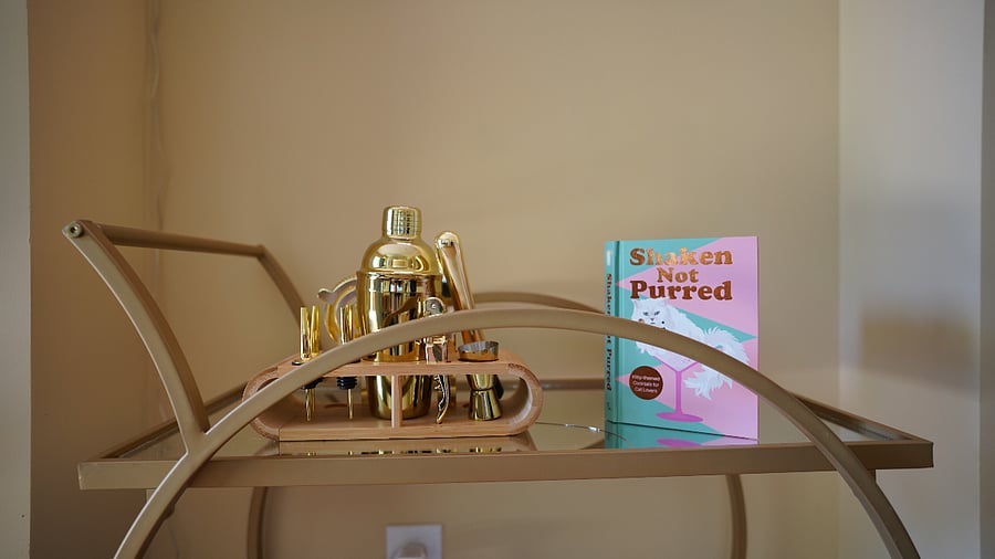Furnished Finder property 1012635_1 photo 16