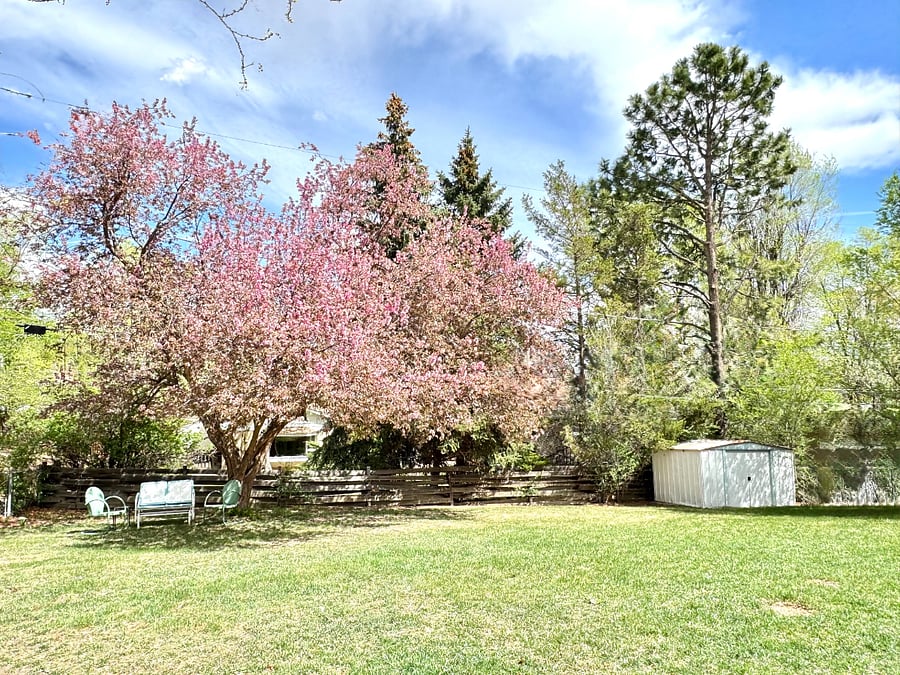 Furnished Finder property 1012683_1 photo 48