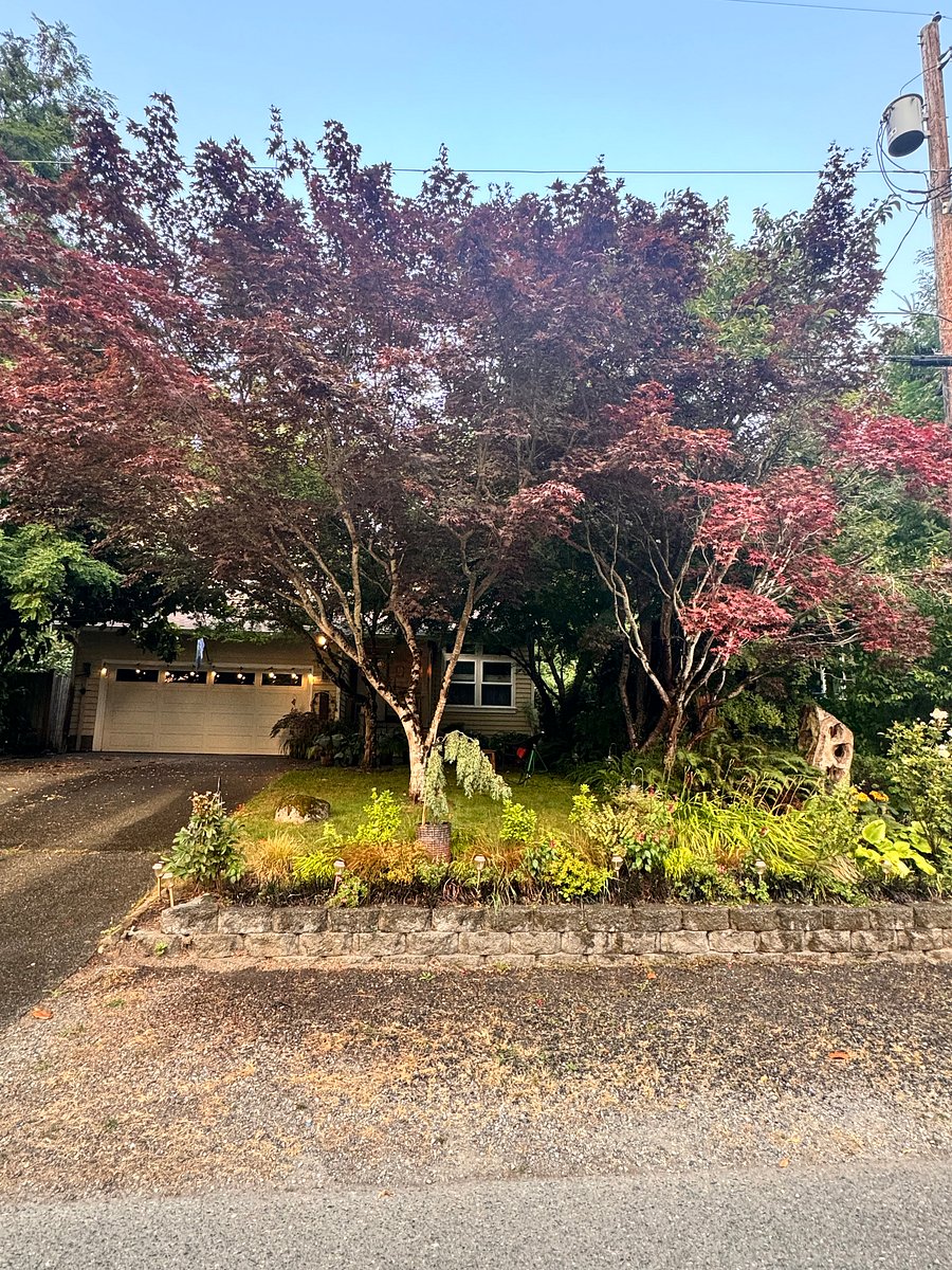 Furnished Finder property 1012684_1 photo 6