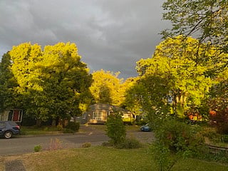 Across the street at the golden moment!