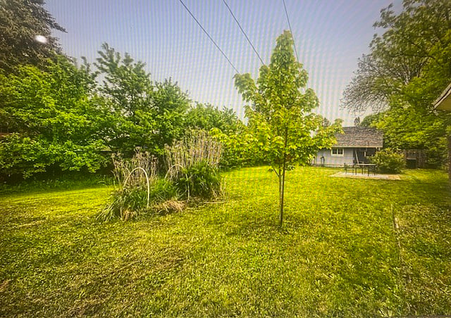 Spacious backyard in the spring