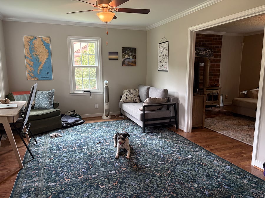 Furnished Finder property 1012843_1 photo 7