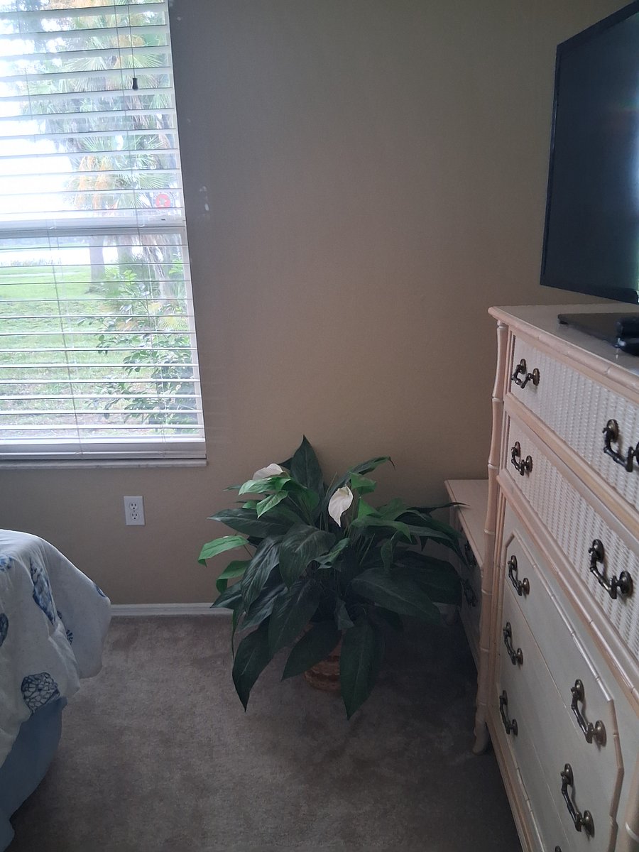 Furnished Finder property 1012878_1 photo 12