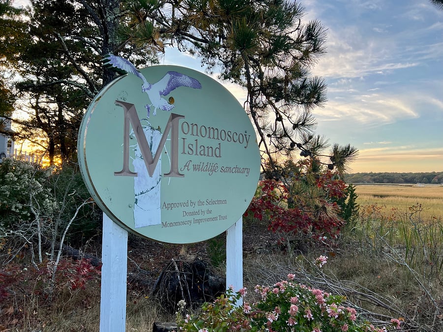Located on Monomoscoy Island - quiet yet so convenient to both nature hikes and paddles, and all the shopping you could want!