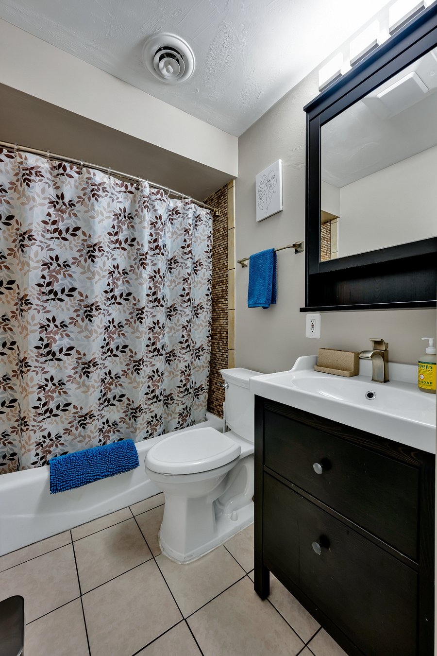 Hall bathroom with tub and handheld shower head.