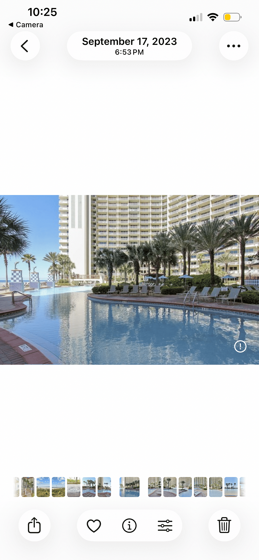 Outdoor pool with Jewel palms