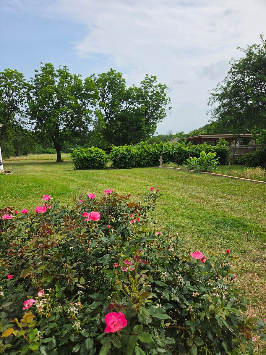 Furnished Finder property 1013071_1 photo 7