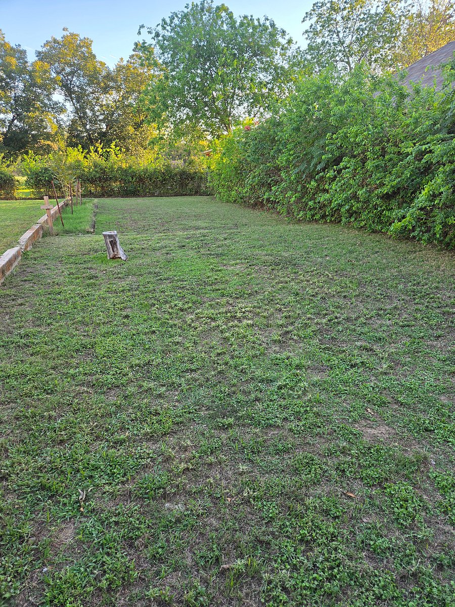 Furnished Finder property 1013071_1 photo 3