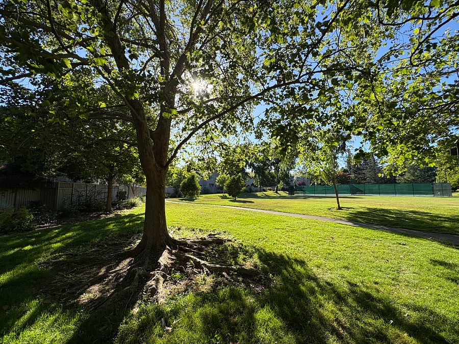 Furnished Finder property 1013073_1 photo 26