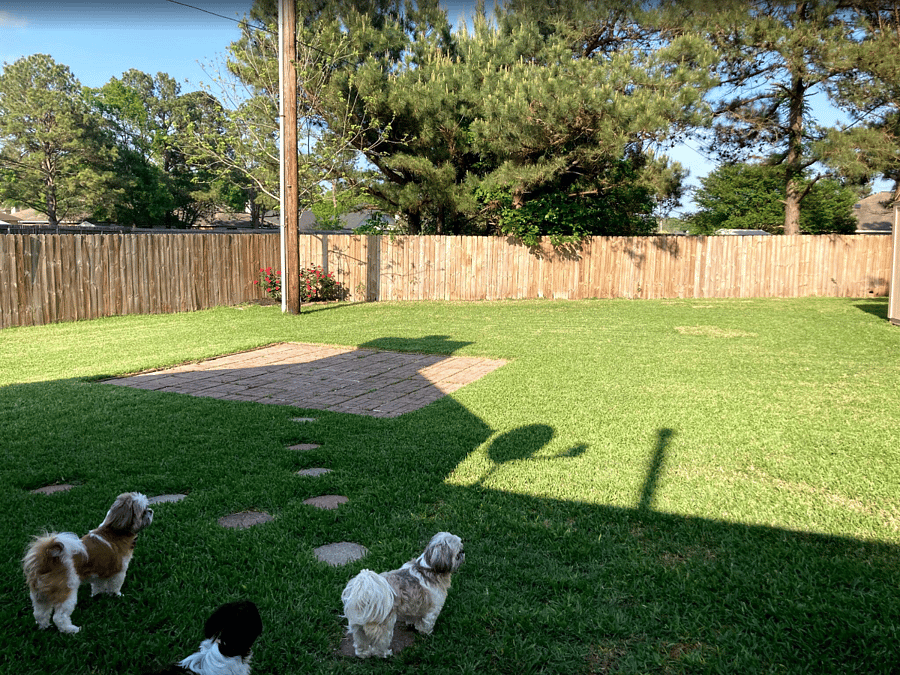 Furnished Finder property 1013231_1 photo 3