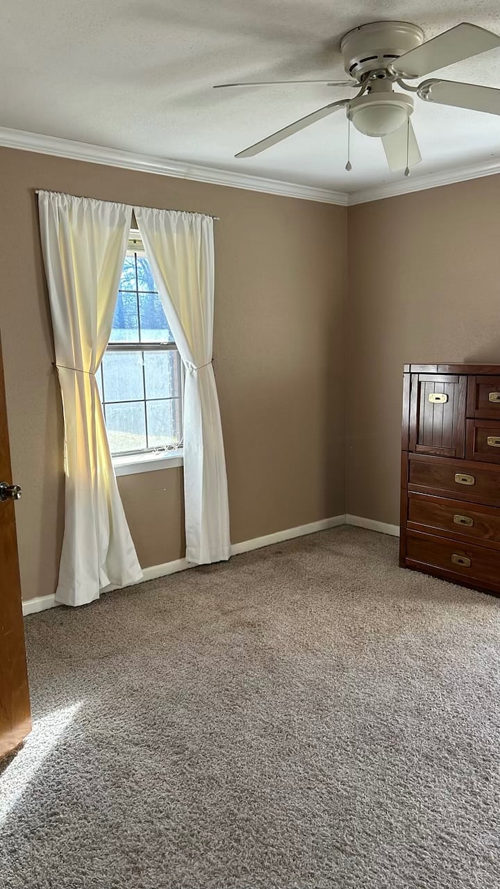 Furnished Finder property 1013291_1 photo 10