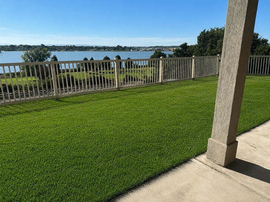 View from porch of park and lake behind property