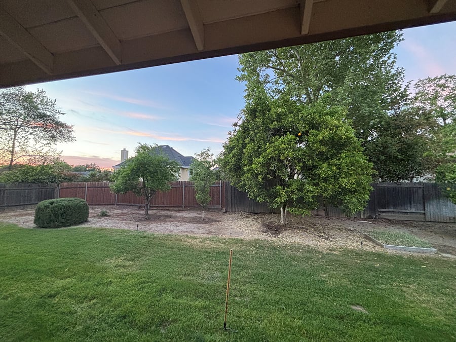 Backyard has fruit trees and grass.