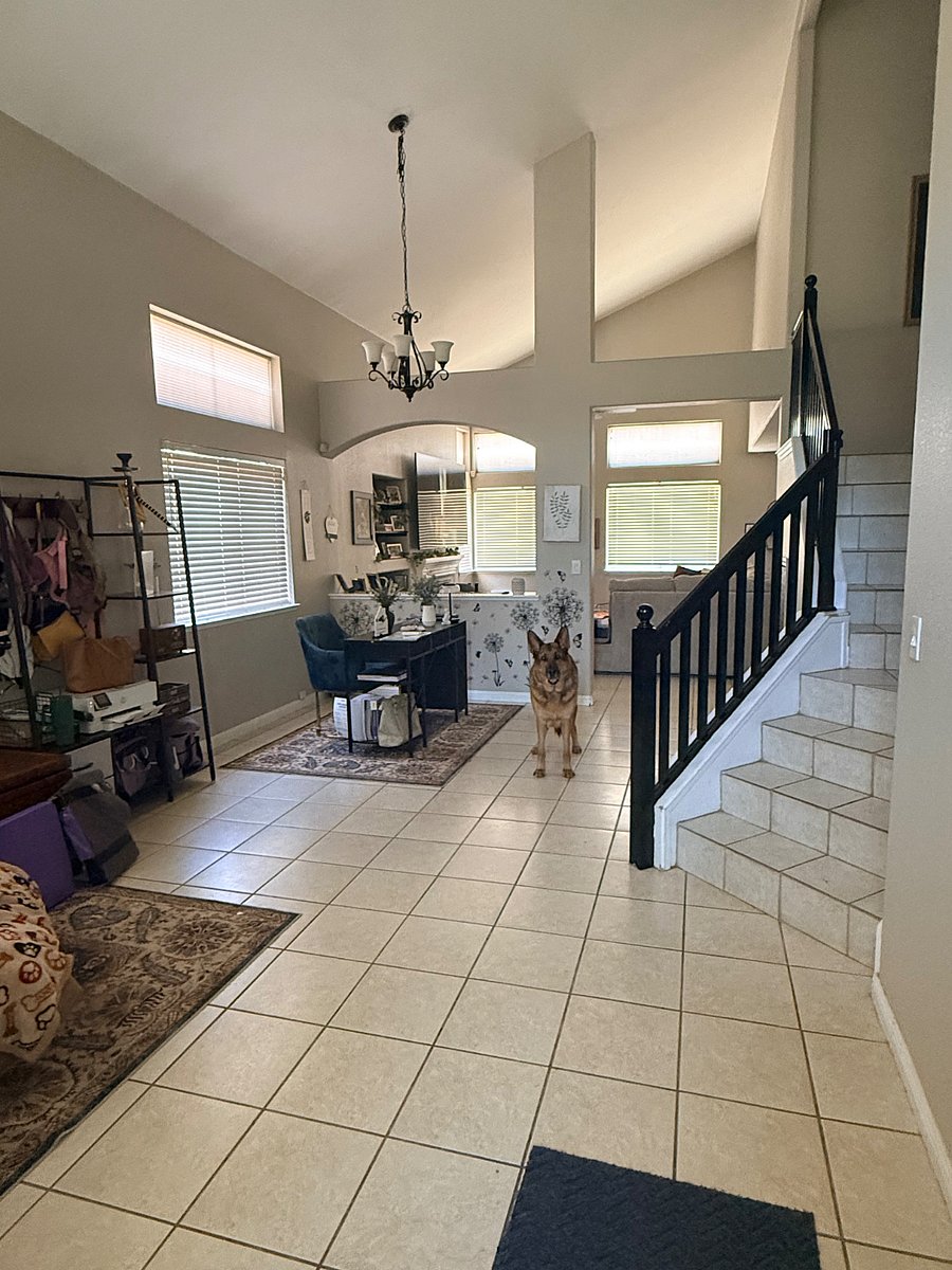 Furnished Finder property 1013355_1 photo 5