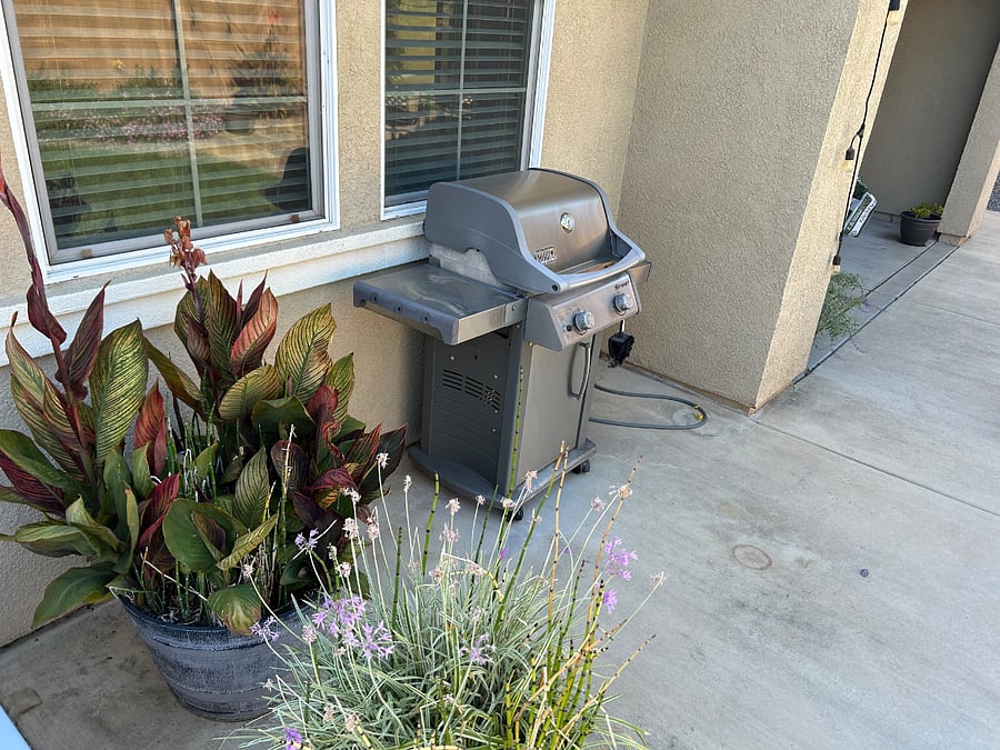 Gas grill