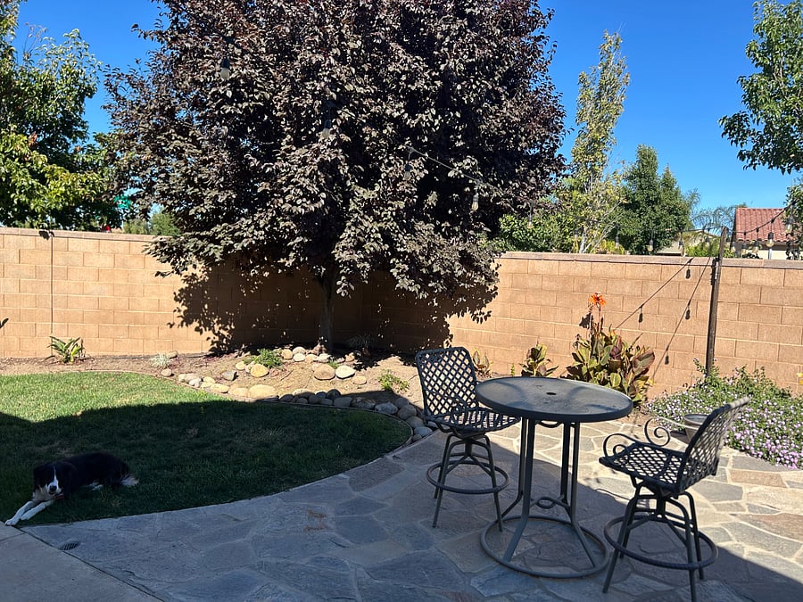 Backyard