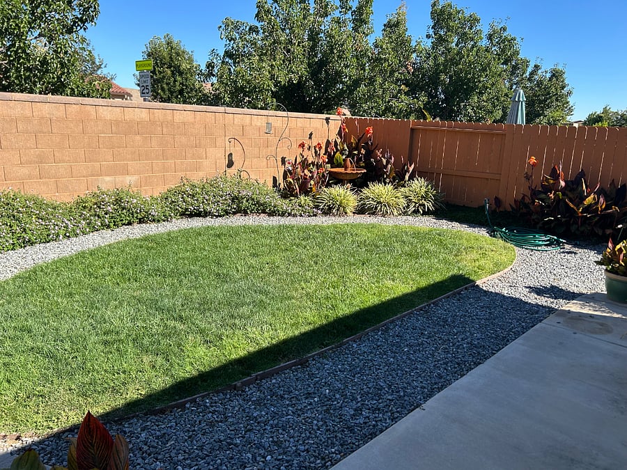 Backyard