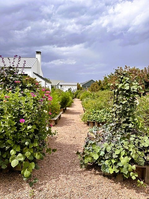 Community garden at the HUB