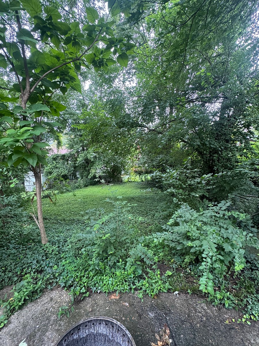 Furnished Finder property 1013385_1 photo 17