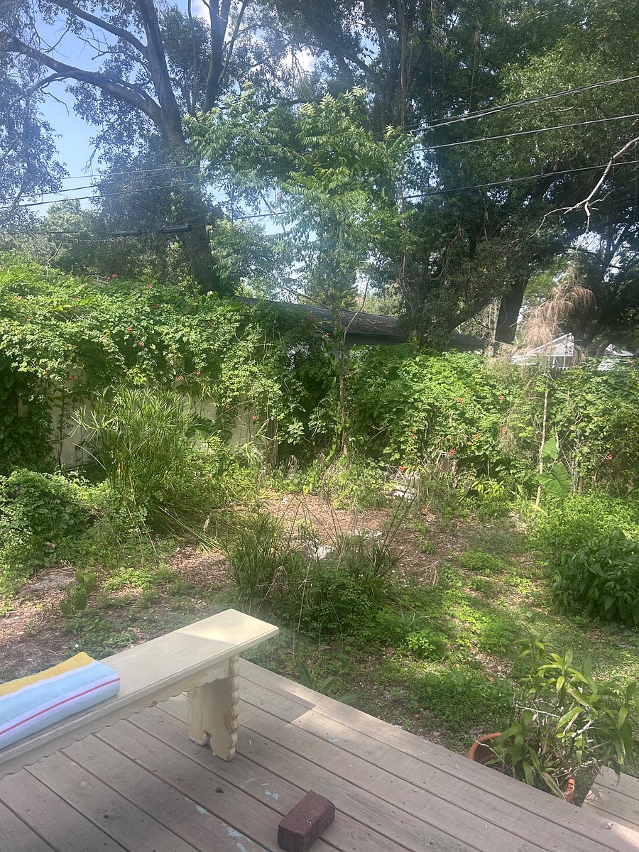 Furnished Finder property 1013399_1 photo 3