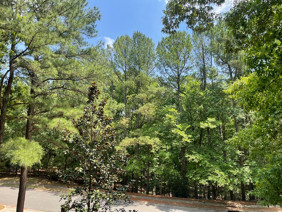 Furnished Finder property 1013460_1 photo 49