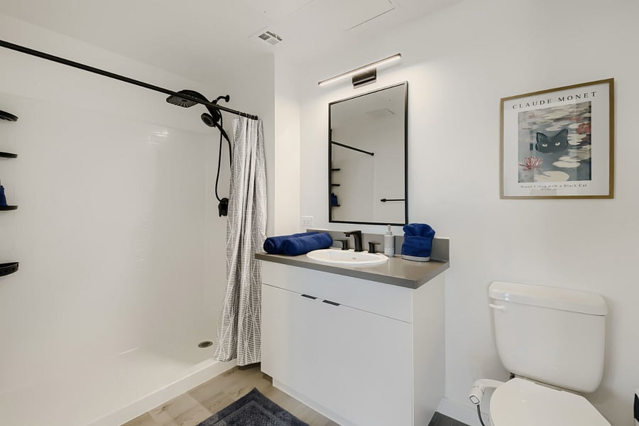 Rain Shower with Wand Extension