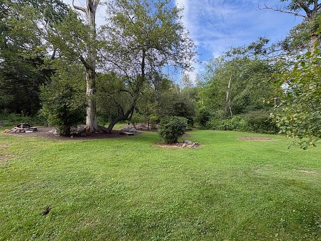 More back yard