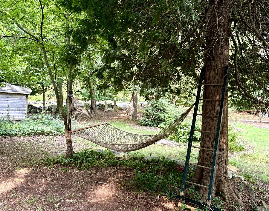 Excellent napping spot