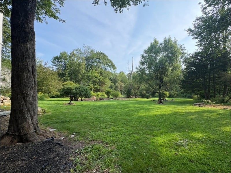 Backyard populated by matured trees, non-invasive plants and flowers to attract pollinators.