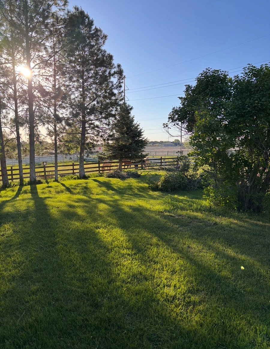 Furnished Finder property 1013574_1 photo 10
