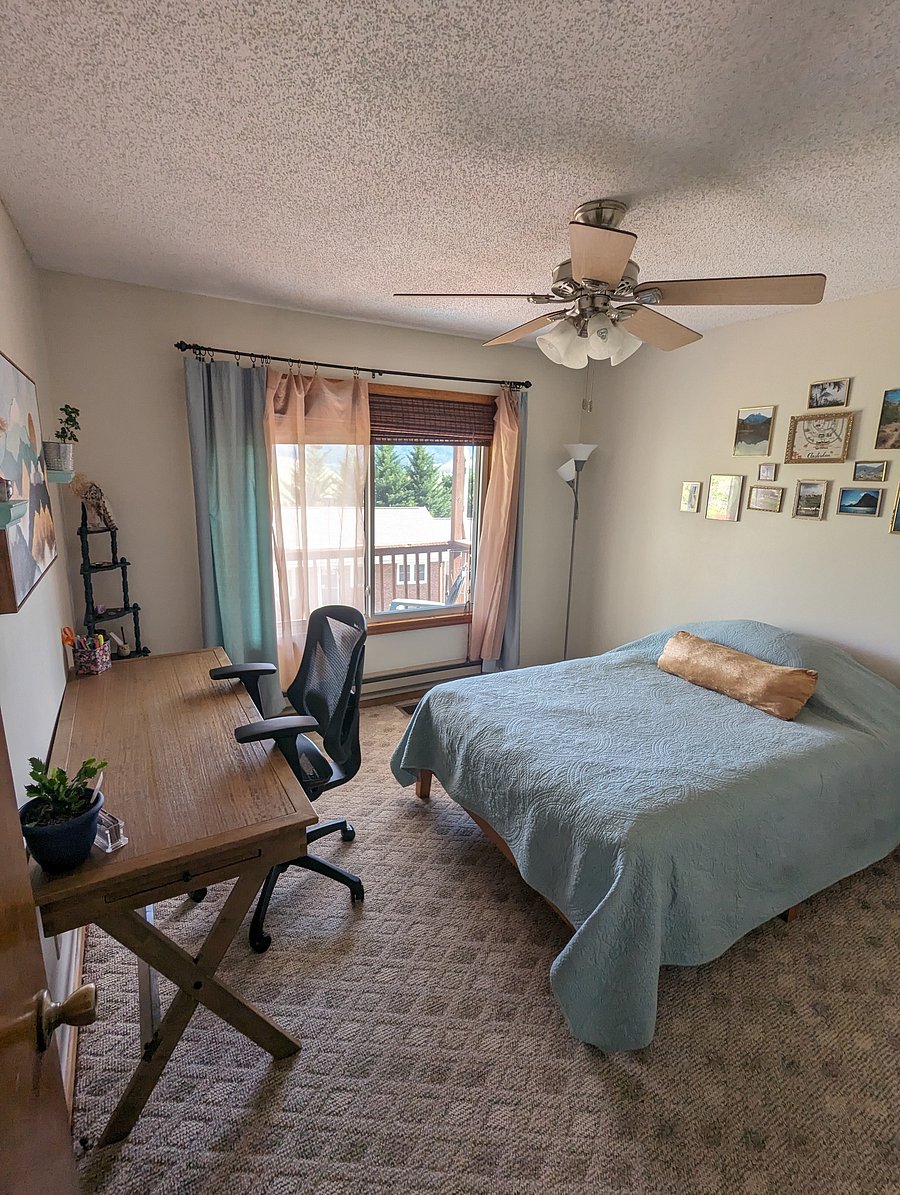 Downstairs bedroom with full bed and desk