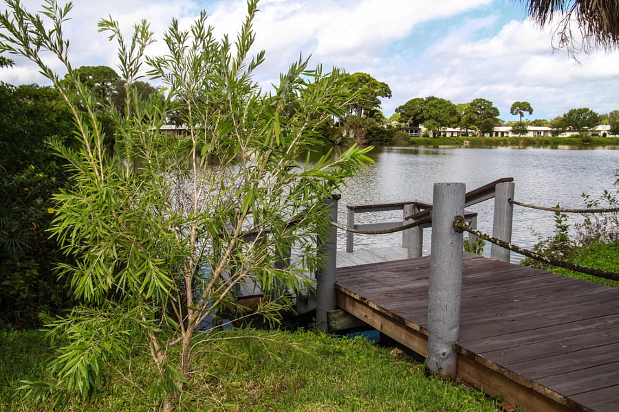 Furnished Finder property 1013648_1 photo 3