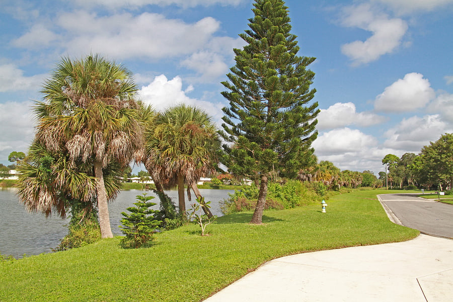 Furnished Finder property 1013648_1 photo 4