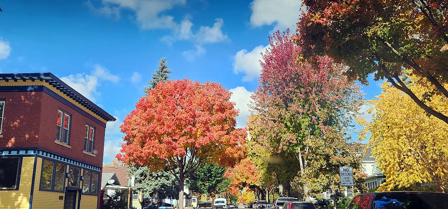 Northeast Minneapolis is known for its beautiful fall color and mature tree-lined streets.