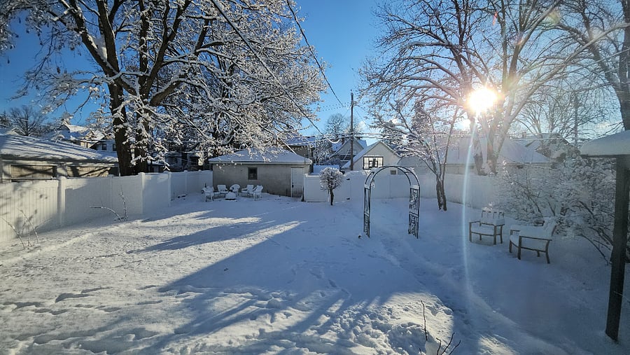 The backyard during a Minnesota snowfall