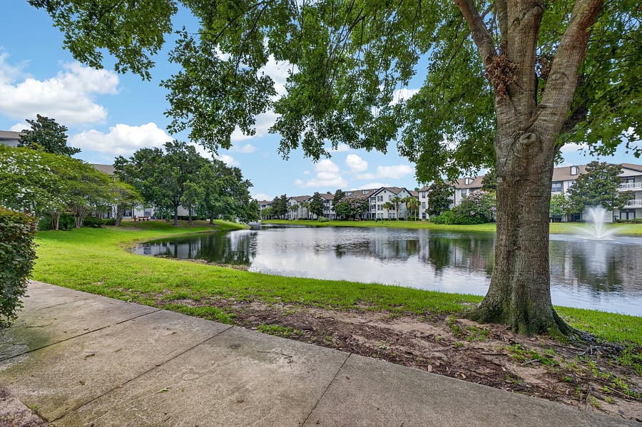 Furnished Finder property 1013792_1 photo 40
