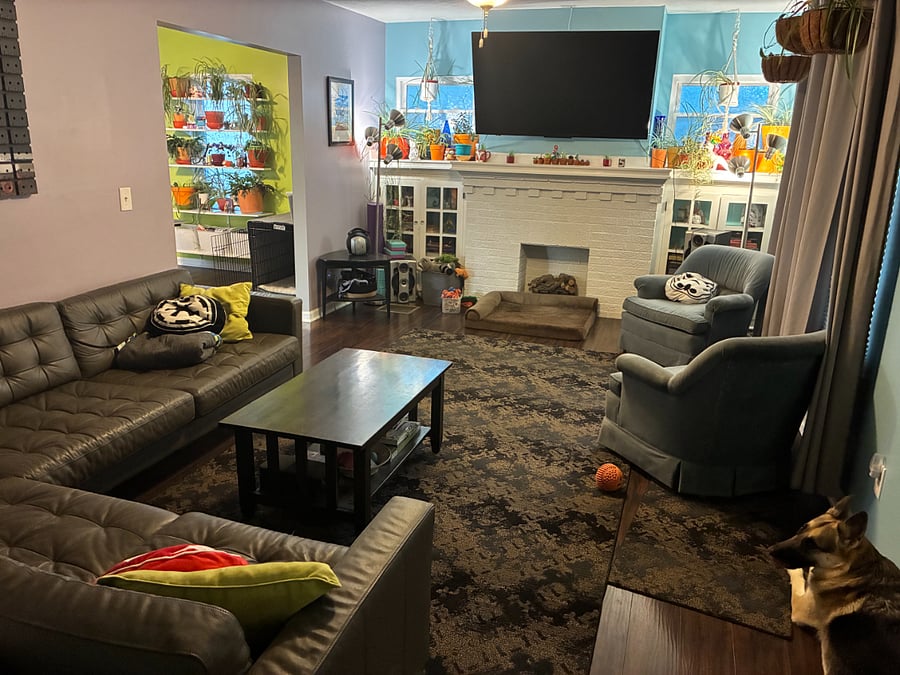 Furnished Finder property 1013827_1 photo 6