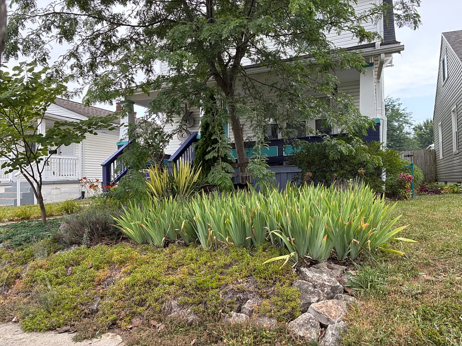 Furnished Finder property 1013827_1 photo 10