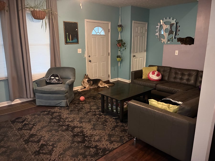 Furnished Finder property 1013827_1 photo 7