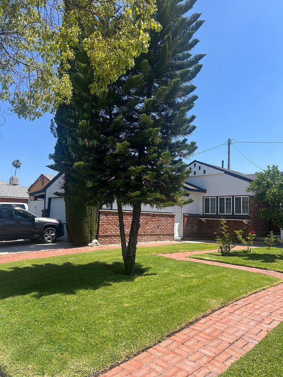 Furnished Finder property 1013855_1 photo 16