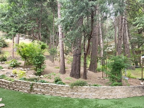 Furnished Finder property 1013857_1 photo 35