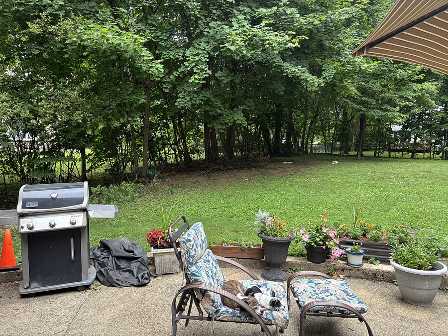 Furnished Finder property 1013860_1 photo 7