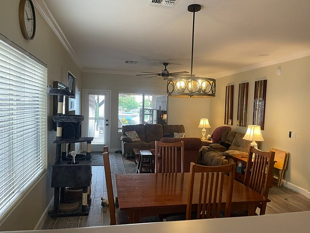 Furnished Finder property 1013865_1 photo 11