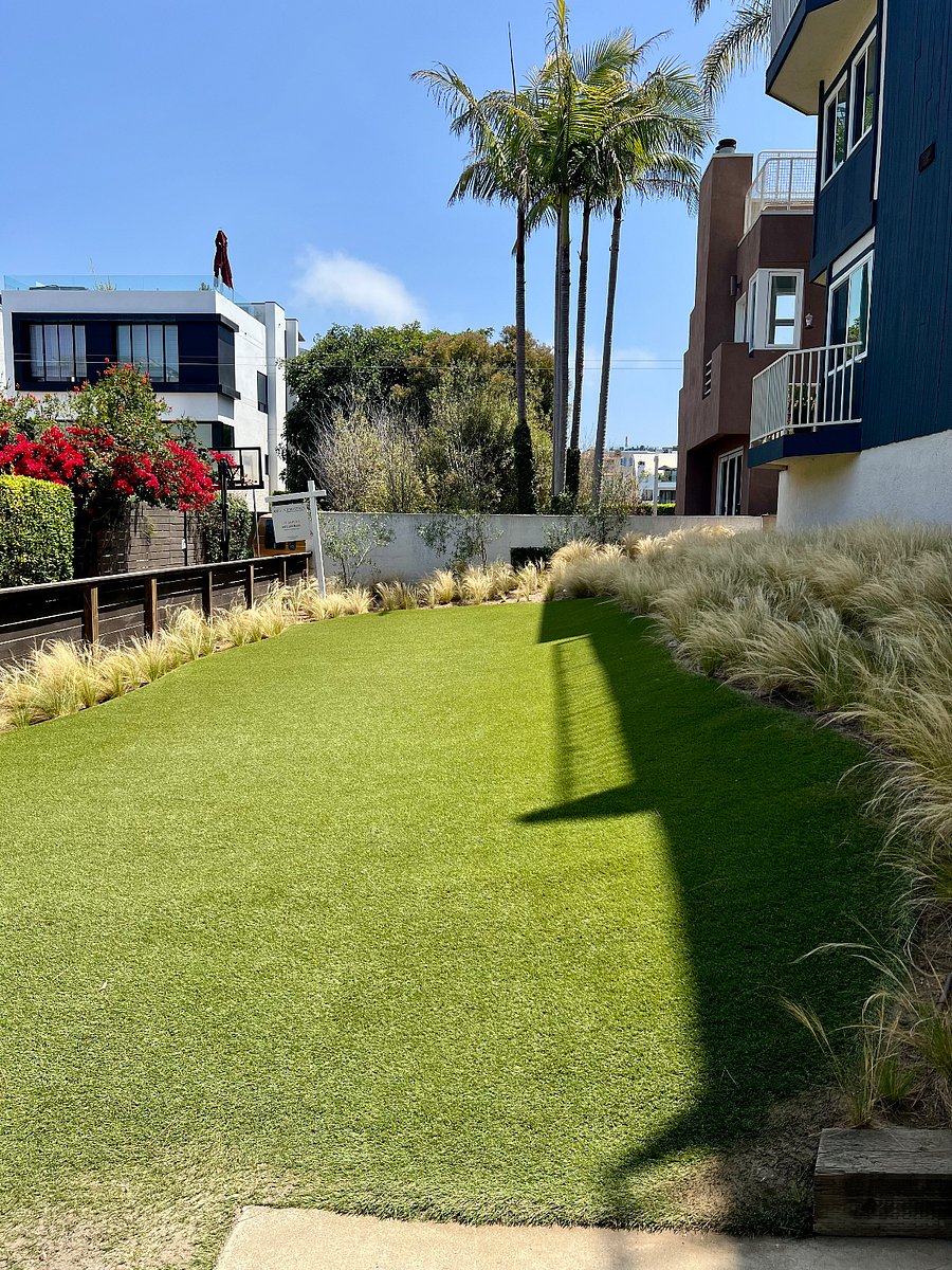 Front yard of condo