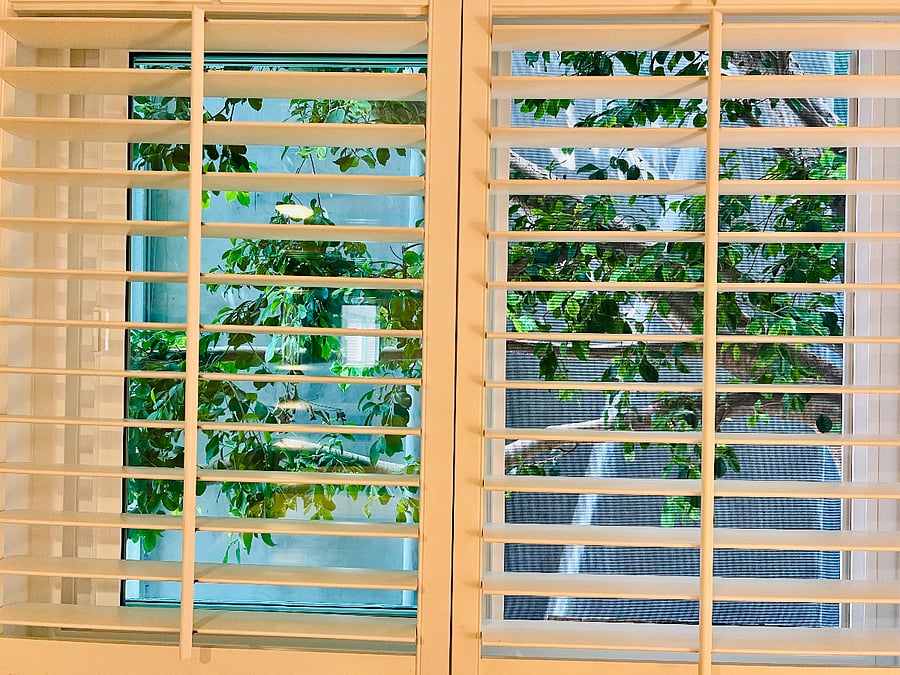 View from primary bedroom, all new windows