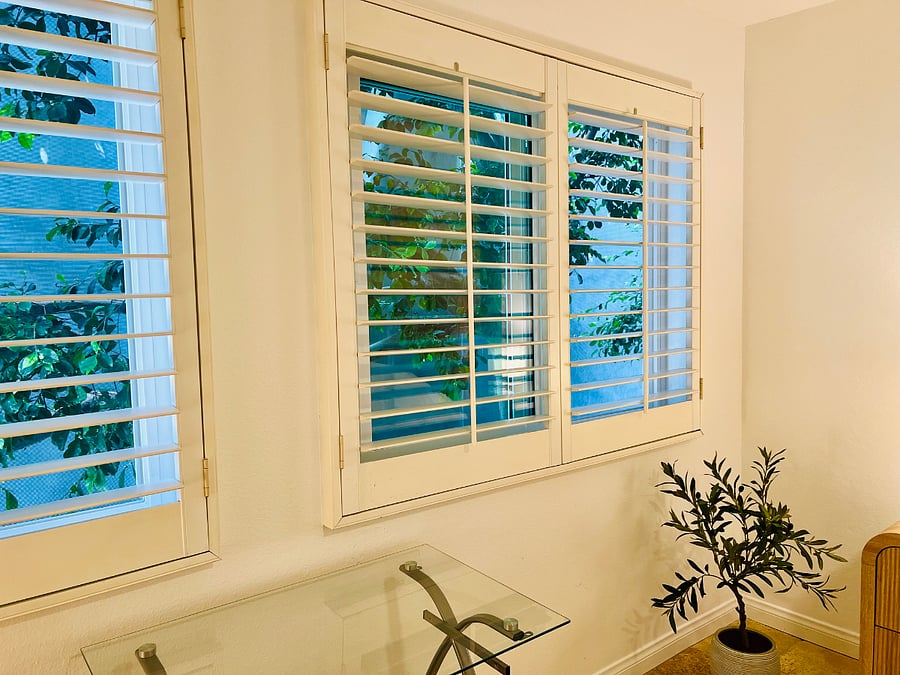 Tree-view from the primary bedroom